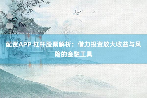 配资APP 杠杆股票解析：借力投资放大收益与风险的金融工具