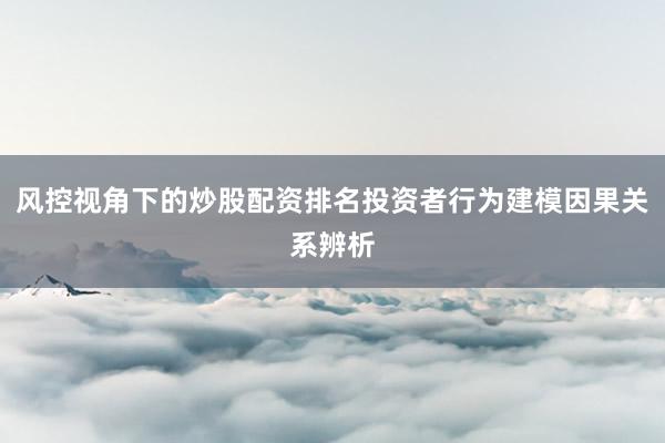 风控视角下的炒股配资排名投资者行为建模因果关系辨析