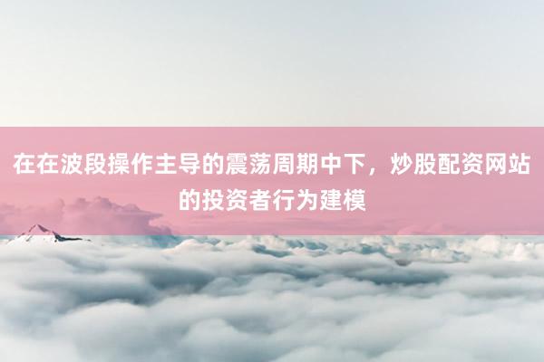 在在波段操作主导的震荡周期中下，炒股配资网站的投资者行为建模