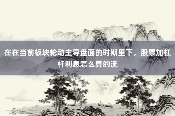 在在当前板块轮动主导盘面的时期里下，股票加杠杆利息怎么算的流