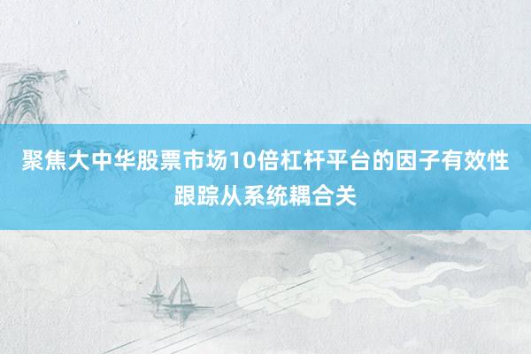 聚焦大中华股票市场10倍杠杆平台的因子有效性跟踪从系统耦合关