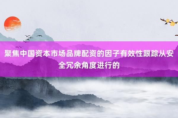 聚焦中国资本市场品牌配资的因子有效性跟踪从安全冗余角度进行的