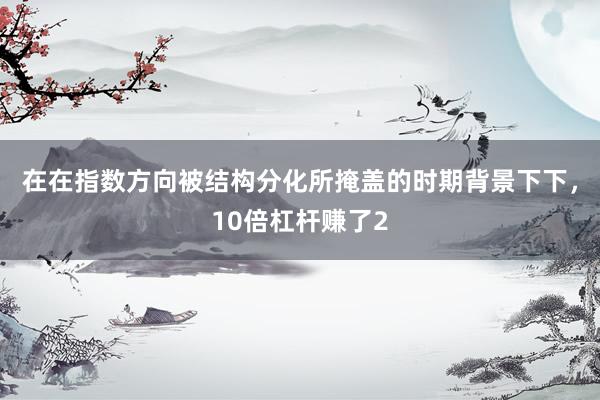 在在指数方向被结构分化所掩盖的时期背景下下，10倍杠杆赚了2