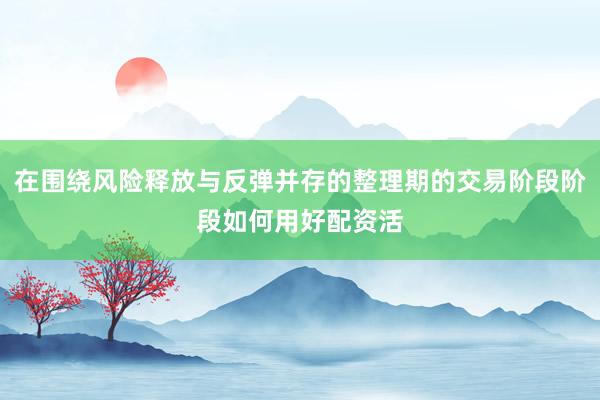 在围绕风险释放与反弹并存的整理期的交易阶段阶段如何用好配资活